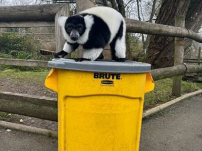 Zoo 3 (1)
