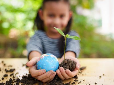 Sustainability